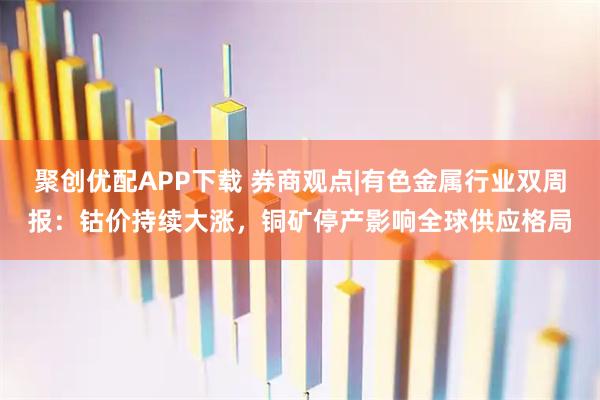 聚创优配APP下载 券商观点|有色金属行业双周报：钴价持续大涨，铜矿停产影响全球供应格局