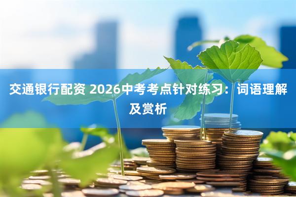 交通银行配资 2026中考考点针对练习：词语理解及赏析