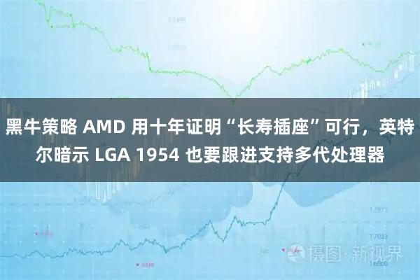 黑牛策略 AMD 用十年证明“长寿插座”可行，英特尔暗示 LGA 1954 也要跟进支持多代处理器